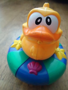 Badeend 