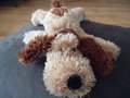 Hondje (Pluche)